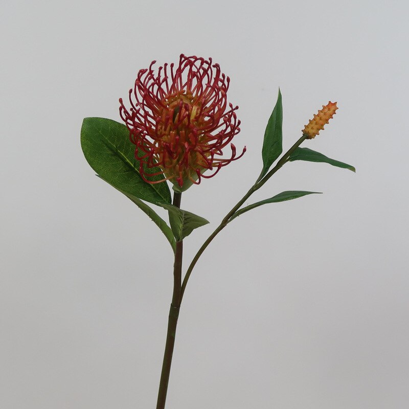 artificial Pincushion Flower Tropical Fox Tail Flower DIY wedding home floral decor: orange