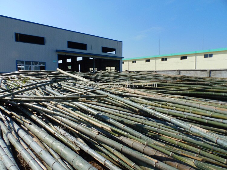 200pcs 6mm*60cm Candied fruit Sticks barbecue skewers Kebab Skewers Potato tower sticks for BBQ Candy floss Bamboo sticks