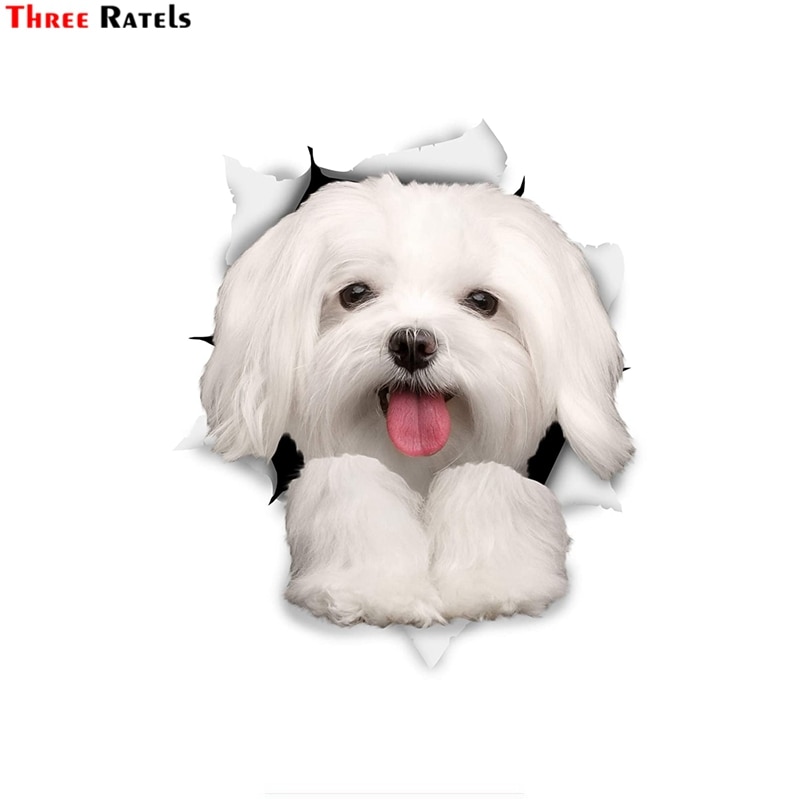 Drie Ratels 1057 3D Hond Stickers Leuke Maltese Stickers Decal Kinderen Kid Muurstickers
