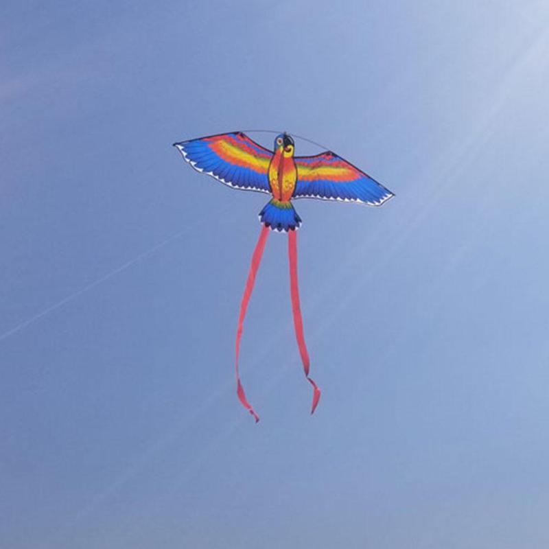 Cometa de loro para despegar, de viento normal, con patrones elegantes, clásica