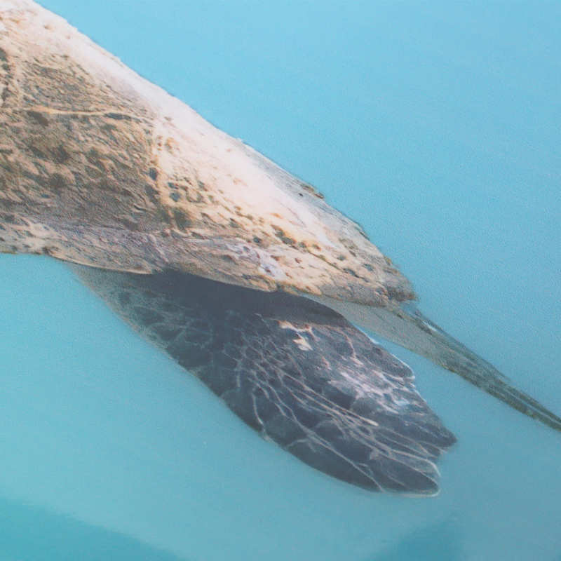 Aquarium Background Paper 3D Effect Fish Tank Decoration Poster for Underwater