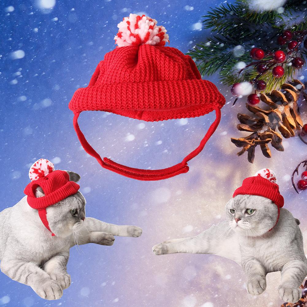 Kæledyr kat hund hvalp dyr jul hat santa hat kæledyr forsyninger hund kat hvalp jul killing gennemboret uld hat indretning
