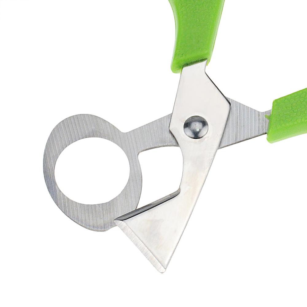 Coupe-œufs à caille, Pigeon ciseaux, coupe-œufs, ouvre-œufs, coupe-œufs, outil de ménage, accessoires Gadgets 1 pièce