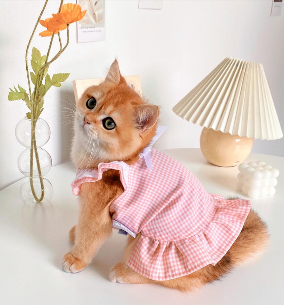 T-shirt respirant pour chats, vêtements mignons pour animaux de compagnie, Costume à la pour chien et chat