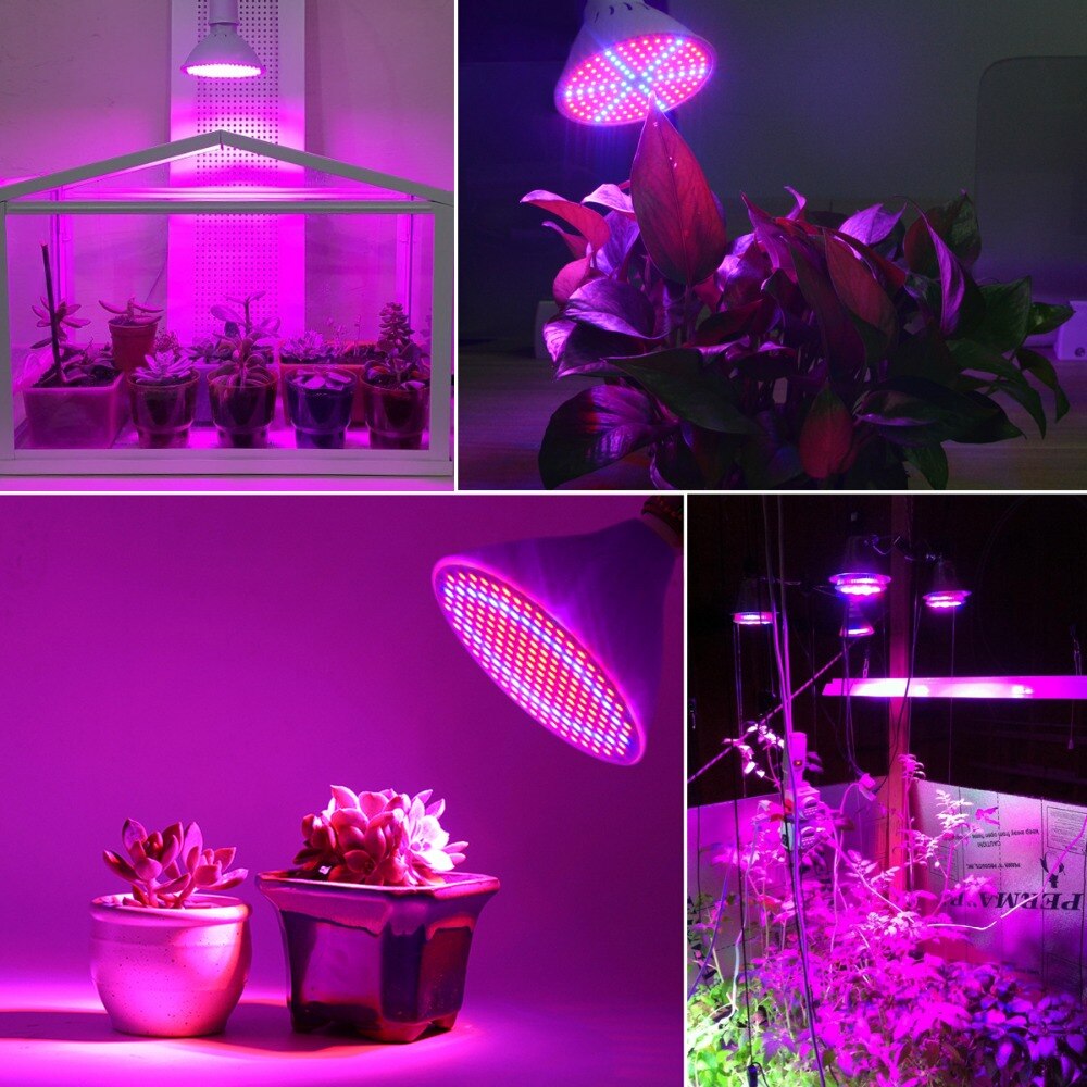 Full spectrum LED Grow Light Bulbs 60 126 200 LED Lamp for Seeds hydro Flower Greenhouse Veg Indoor garden hydroponics E27 220V