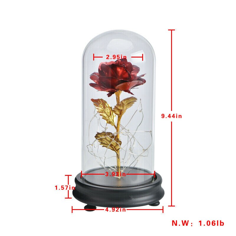 Valentinsdag for hende ham udødelig bevaret rosenblomst med glaskuppel