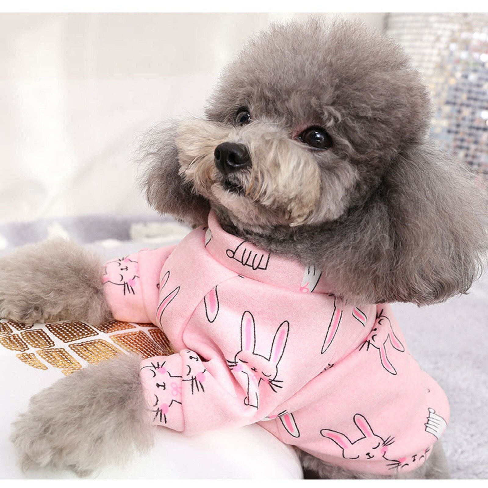 autumn and winter Dog Vests sweater cute cartoon style cat cat clothes puppy dog two-legged pet clothing