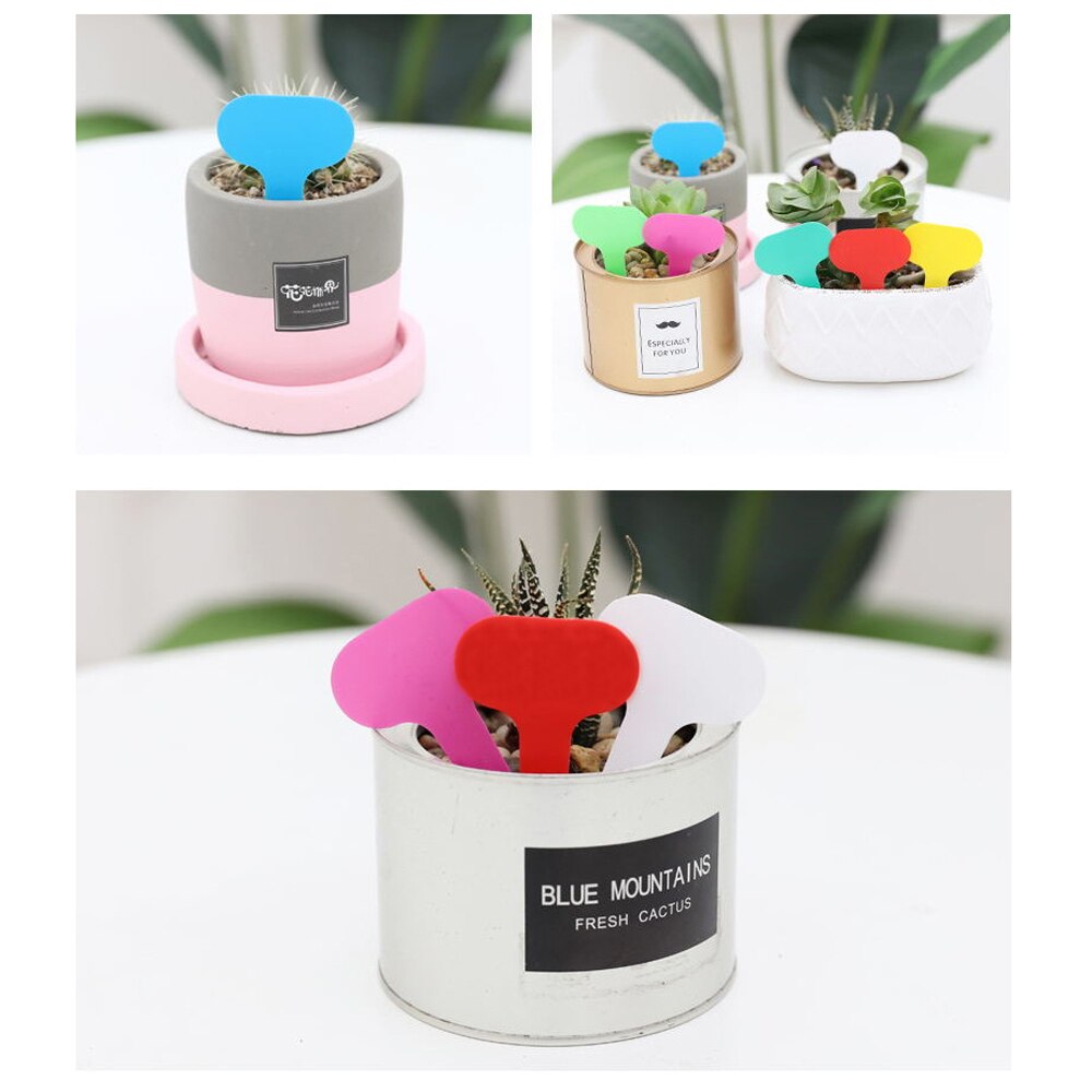 100Pcs Tuin Labels Nursery Potplanten Zaailing Labels Lade Markering Gereedschap Waterdicht Herbruikbare Gemengde Kleuren