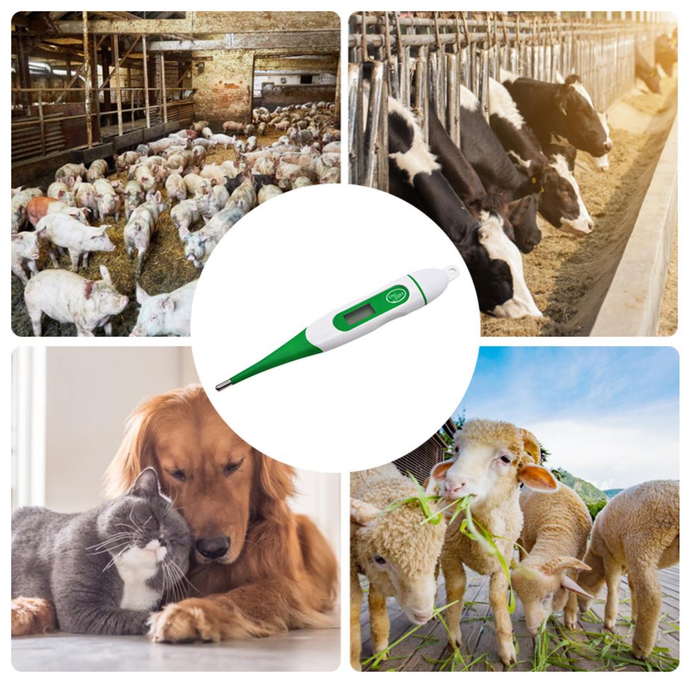 Digital Thermometer Pet Pig Dog Cattle Sheep Dedicated Thermometer Soft Head Waterproof Farm Dedicated Thermometer