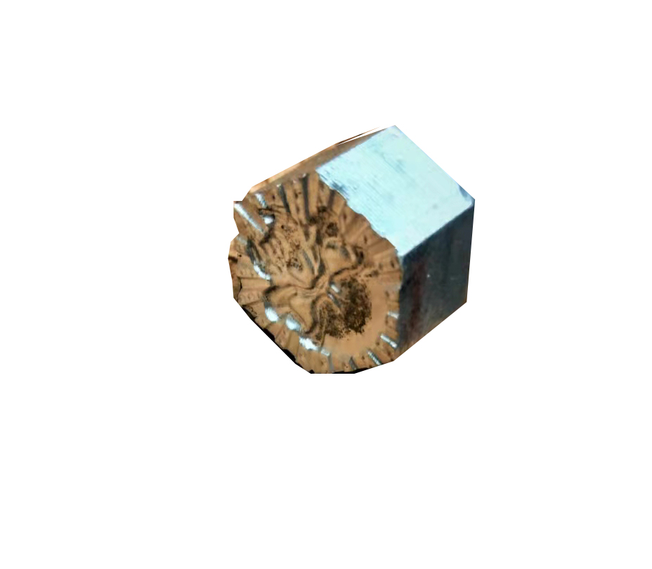 Skull Leather Stamp Tool Stamps Stamping Carving Punches Tools Craft Leathercrafting: stamp