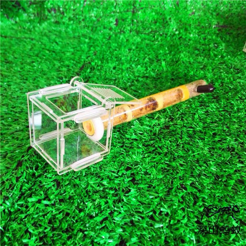 Enkele Reageerbuis Nest Acryl Ant Nest Slub Beton Ant Farm Achter Groep Teelt Gebruik Test Buizen Met Ondersteuning: T006 / Diameter 15mm