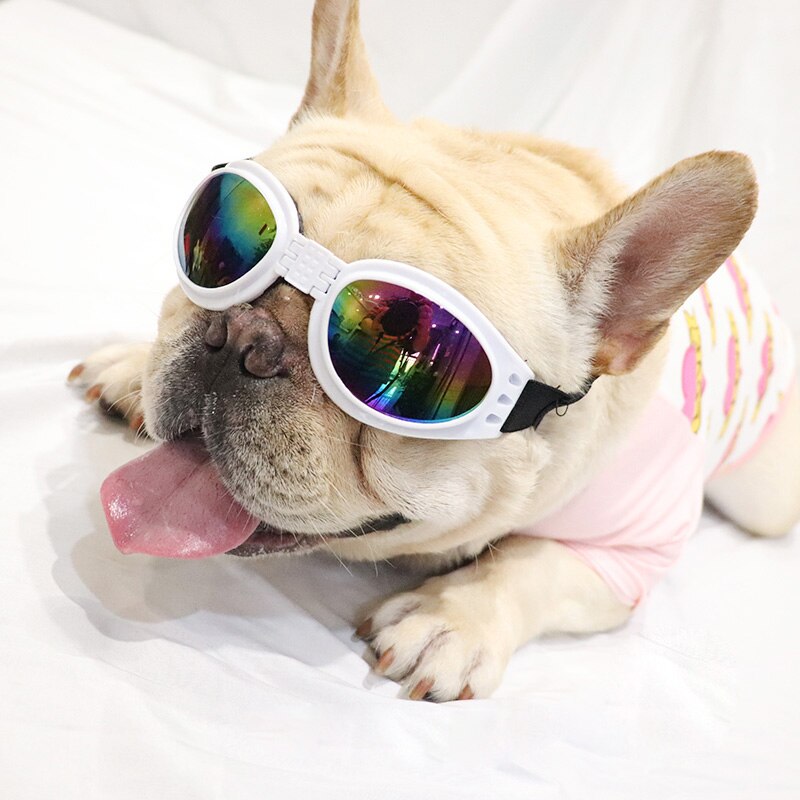 Gafas de sol de para perros de compañía, lentes de sol impermeables para perros pequeños, medianos y grandes, protección UV, accesorios para mascotas, 6 colores