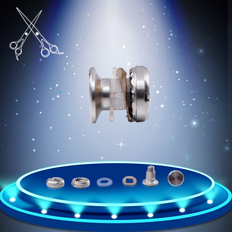 2 sets/lot Metal Bearing Screw Hair Salon Shear Scissors Accerissory Full Set Of Hairstyling Parts System Tools