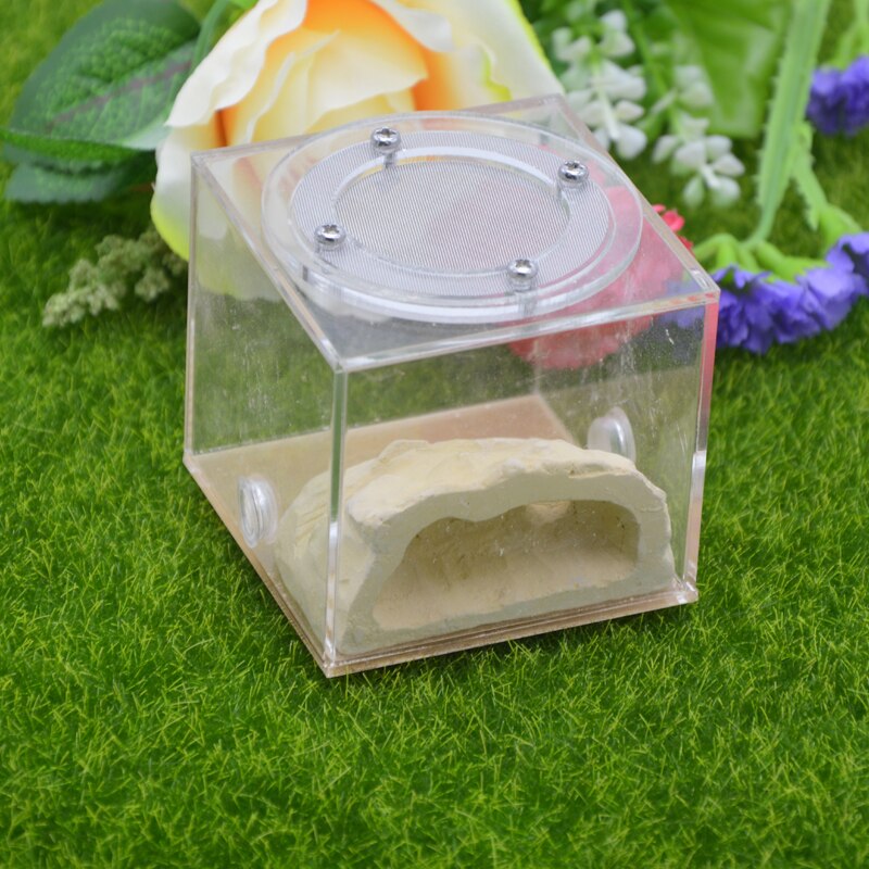 Imitation Ecological Ant Farm DIY Plaster Rockery Pet Ant Castle Landscaping Workshop Home Ants Farm House: SF-B002