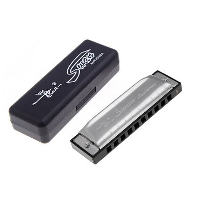 10 Holes Harmonica Diatonic Blues Harp Mouth Organ Key of G Reed with Case Silver Woodwind Instrument: Default Title
