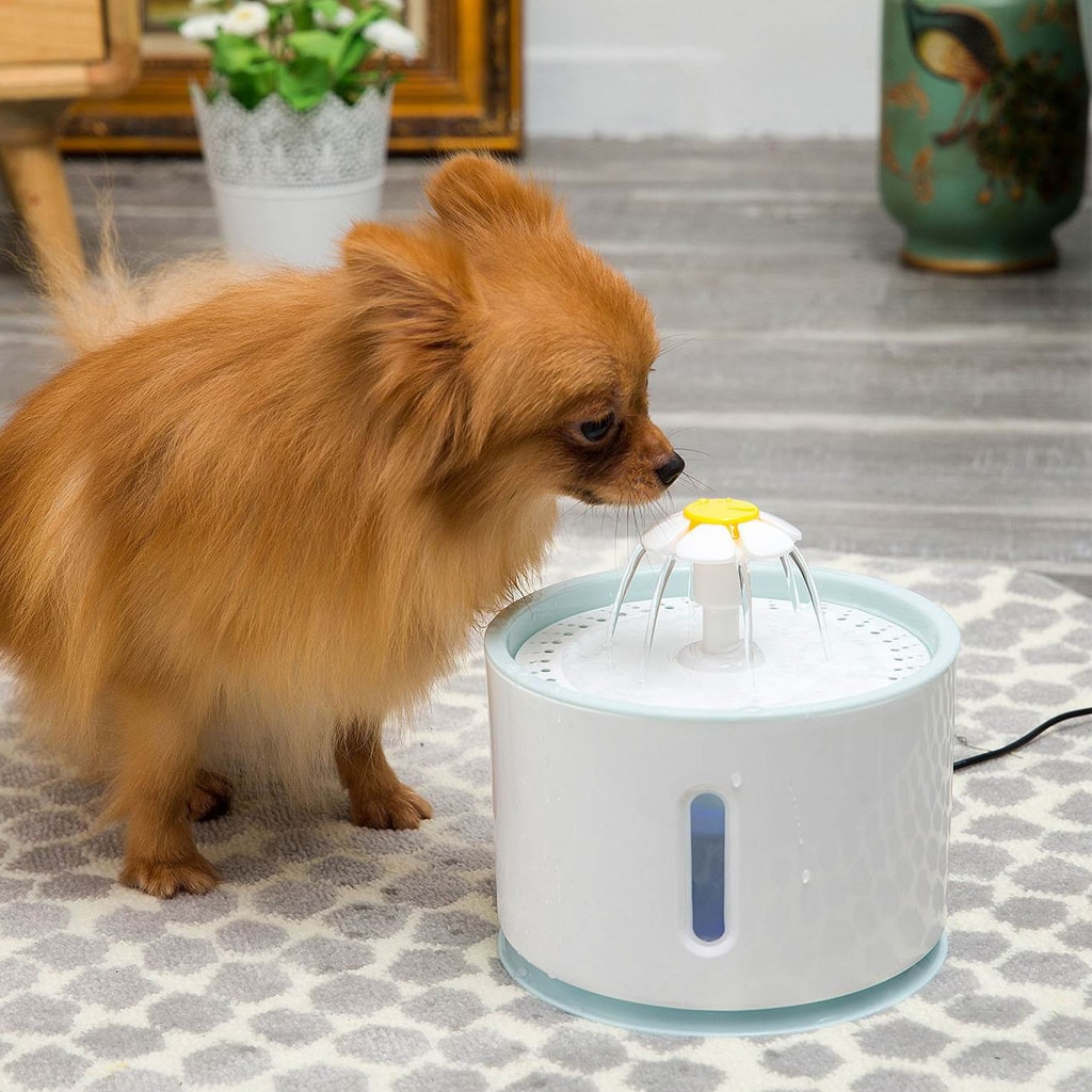 Bebedero eléctrico USB perro gato Mute con luz LED para mascotas dispensador de fuente automática para mascotas gato fuente de agua cuenco