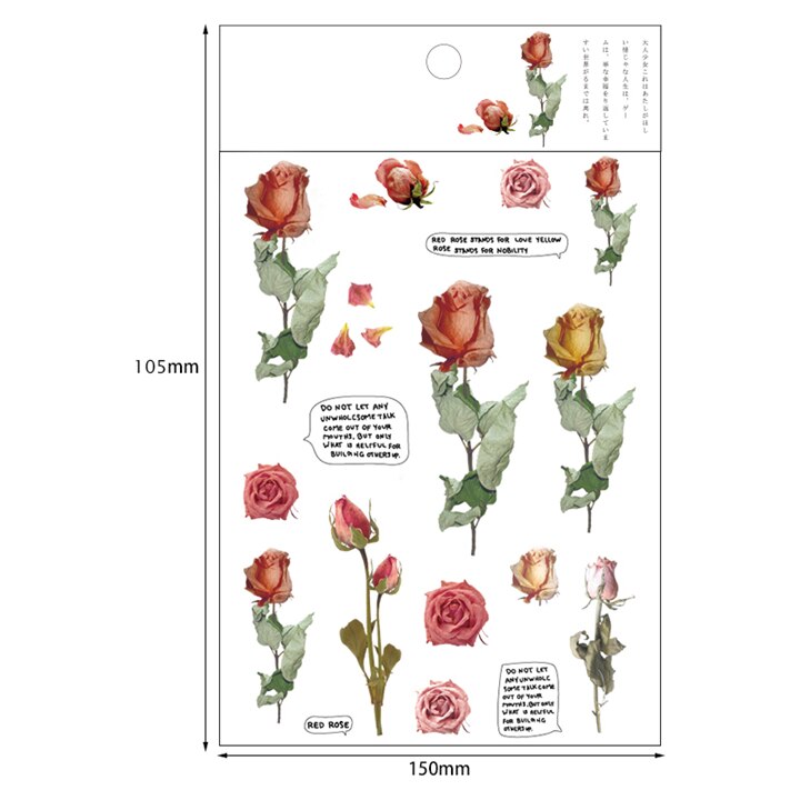 Kokorosa12 Designs Natural Daisy Clover Japanese Words Stickers Transparent PET Material Flowers Leaves Plants Deco Stickers: Light Grey