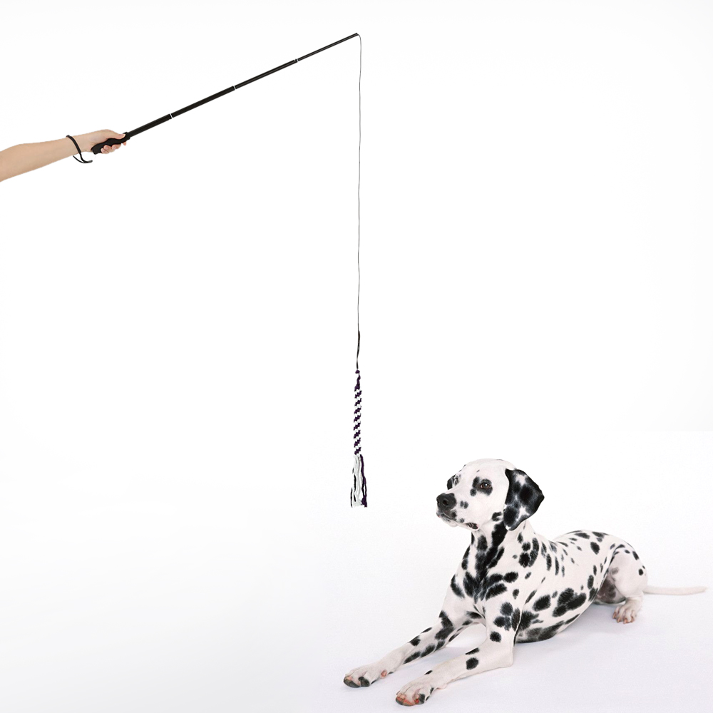 Sjov teaser hund træning legetøj udvidelig hund hvalp teaser pole wand udendørs interaktiv kæledyr hund træning træning reb legetøj