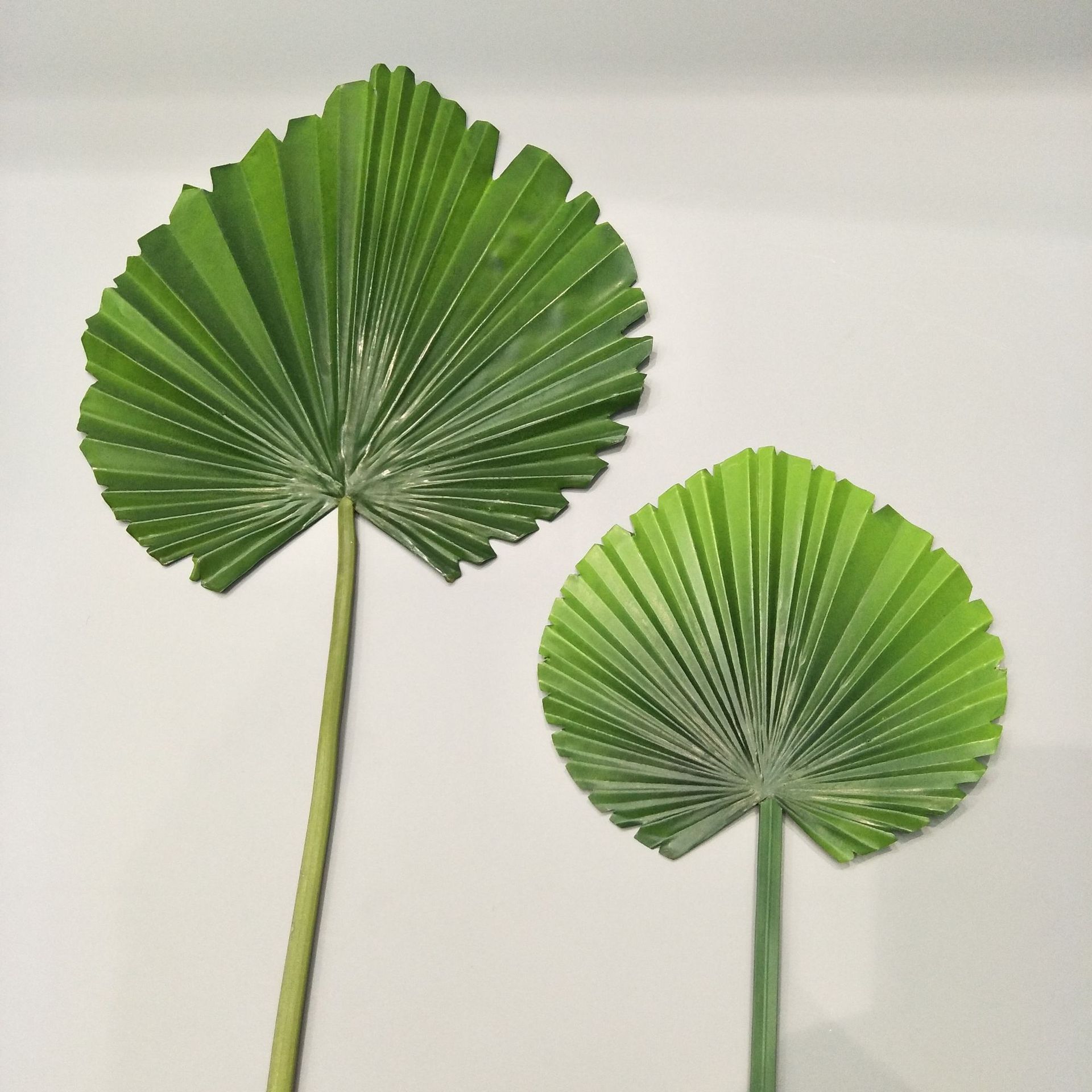 2pc grønne plante runde palmeblade, kunstige blade, tropiske bryllup boligindretning forsyninger