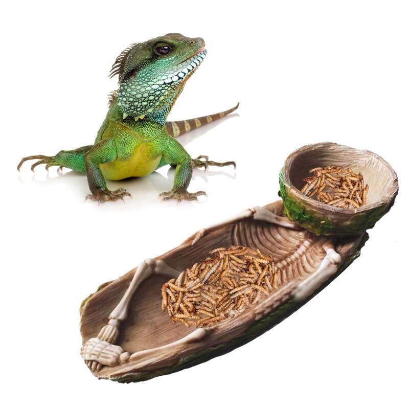 Cuenco de comida para reptiles, esqueleto, anfibio, jaula para mascotas, decoración de roca, inyección de agua, 37MF: Default Title