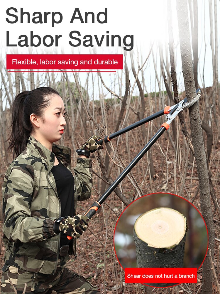 DTBD Garden Tree Pruning Shears High Branch Pruning Tool Ratchet Secateur Long Telescopic Handle Fruit Picker Pruner Scissors