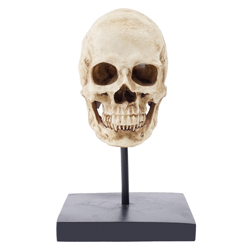 HeyMamba Gothic Human Skull Statue Sculpture Display Skeleton Head Model Halloween Decoration Photography props