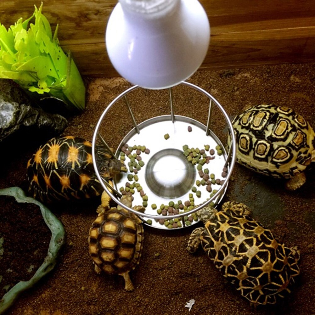 Water Tray Stainless Steel Tortoise Feeding Bowl Round Easy Clean Turtle Outdoor Food Dish Dispenser Pet Supplies Basin Home