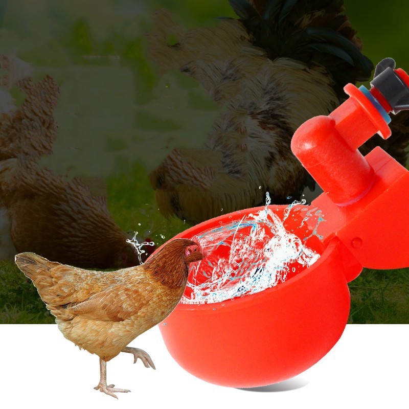 Taza para beber pollo, bebedero automático, alimentador de pollo, bebedero de plástico para aves de corral, bebedero de agua potable para pollitos, patos, gansos, codornices