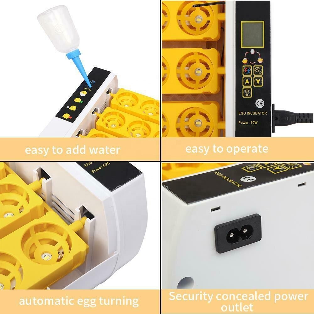 Couveuse d&#39;œufs intelligente HHD 2, incubateur d&#39;œufs Transparenment autique à lumière LED, couveuse pour poules, cailles et oies