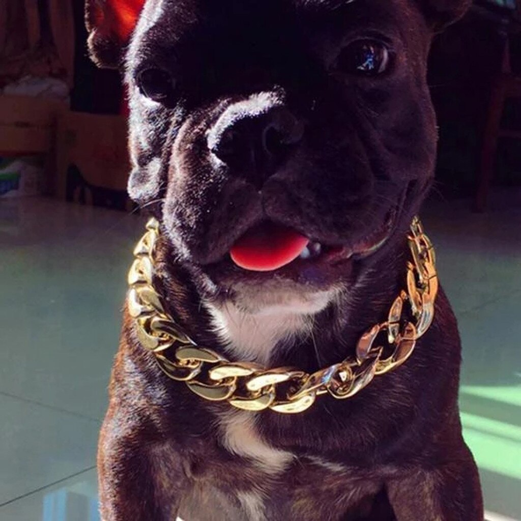 De plástico de oro perro de Collar de cadena joyas de mascotas foto Prop perro accesorios 45cm para pequeños perros grandes clásico Collar para mascota nueva