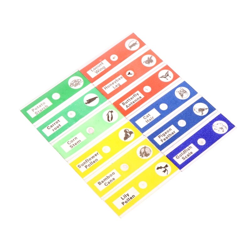 12Pcs/Set Prepared Microscope Slides Set Specimen For Student Basic Biology Education