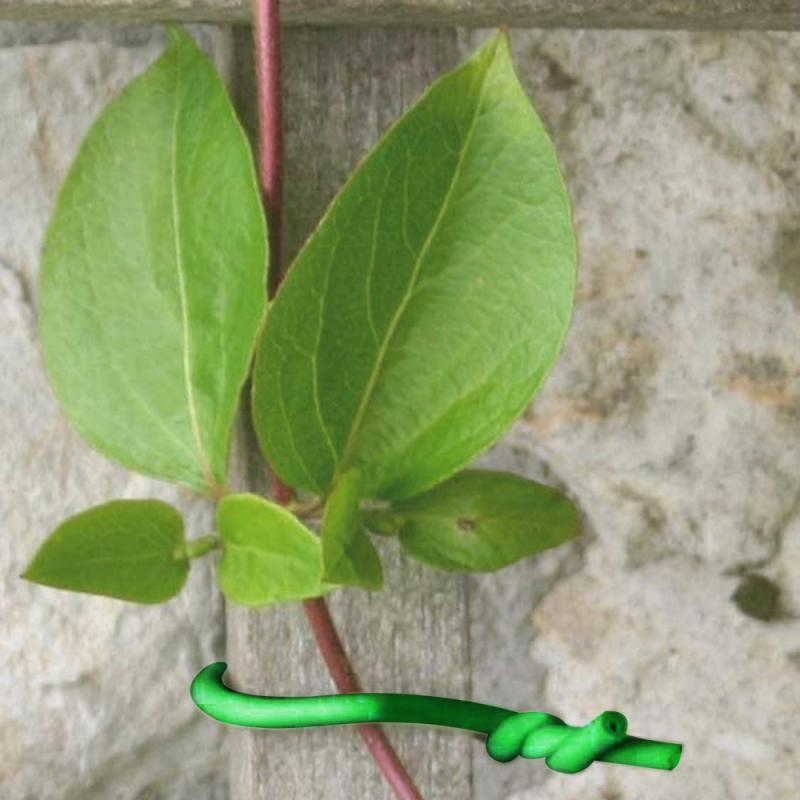 1PC Plant Twist Ties Flexible Coated Wires Plant Fixing Wire Bonsai Branch Training Wire Garden Prevent Bending Tools PVC 10M