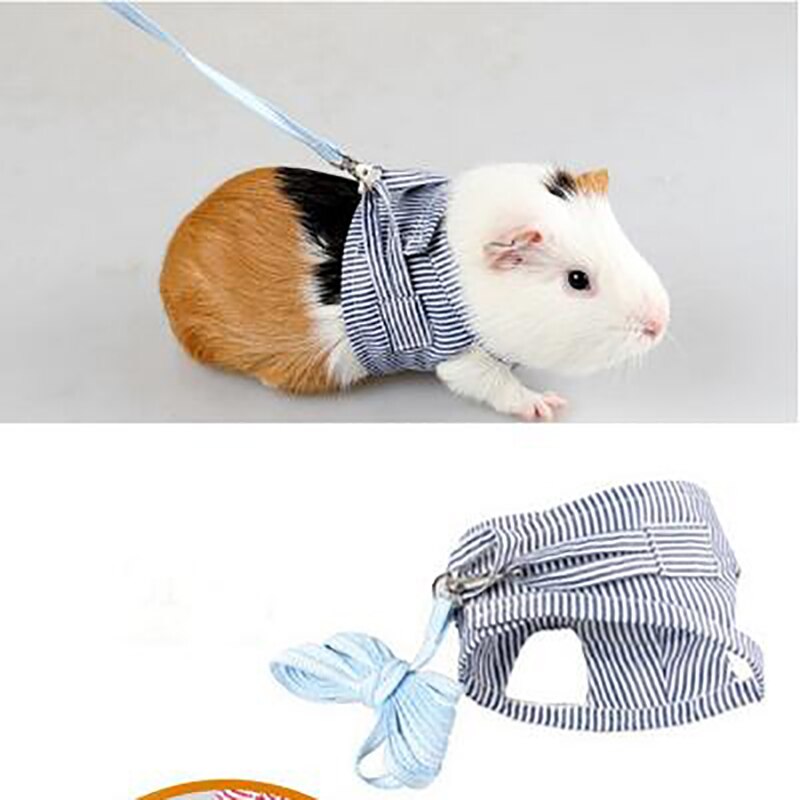 Sangle de poitrine d&#39;extérieur pour petit animal de compagnie, corde de Traction, vêtements en laisse pour Chinchilla, cochon d&#39;inde néerlandais