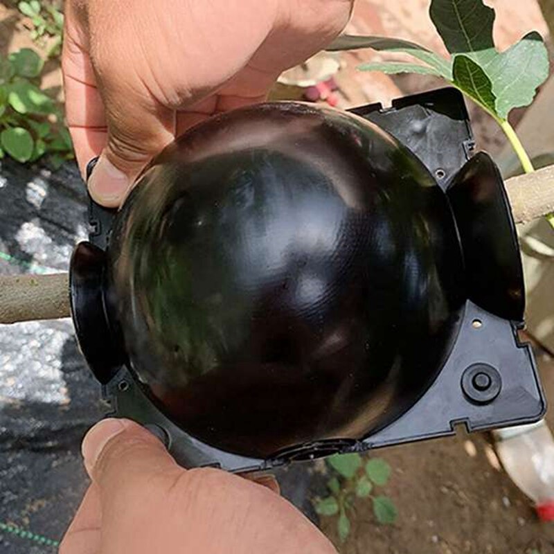 12 Pieces of Plant Root Growth Box Grafting, Plant Root Grafting, Suitable for Various Plant Replication Equipment (M)