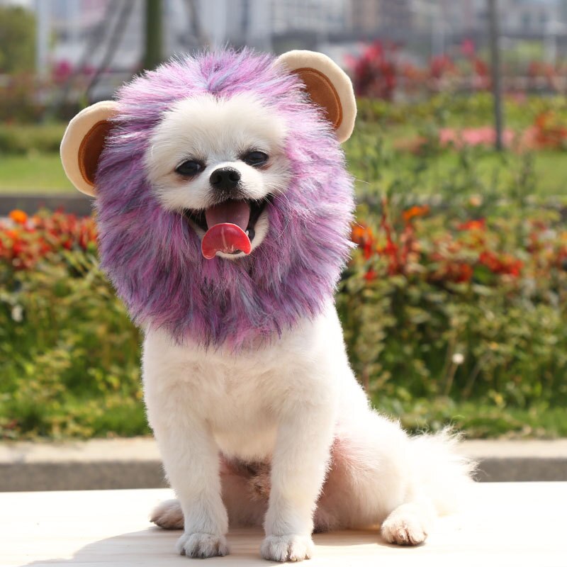 Hond Cap Halloween Huisdier Leeuw Grappige Leuke Animal Kostuum Cosplay Leeuw Pruik Kat En Hond Hoofdtooi Hoed Dierbenodigdheden