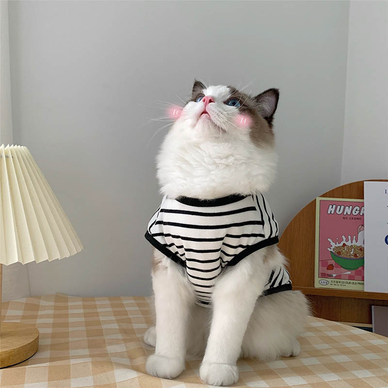 Spring Cat Clothes Pet Clothing for Small Cats Dogs Cat Costumes Soft Kitten Kitty Coat Jacket Puppy Clothes Outfit Mascotas