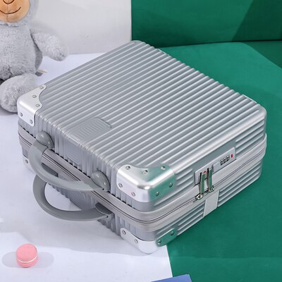 14/16/17Inch Koffer Met Codeslot Laptop Case Dames Cosmetische Handtas Hoge Kleine Opslag case Voor Korte Trips: Zilver / 14"