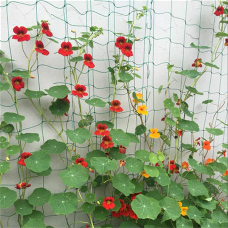 Filet en rotin pour plantes grimpantes, filet horticole, pour fleurs, Fruits et autres ornements de jardin, filet en rotin et filet en plastique