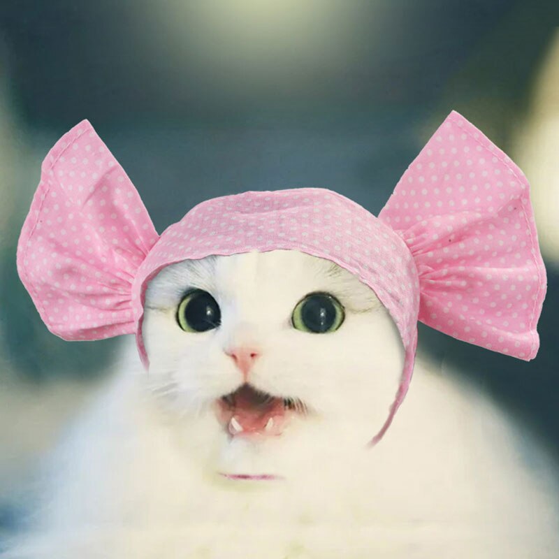 Berretto per animali domestici rosa testa a forma di caramella berretto per animali domestici estate divertente copricapo cucciolo accessorio Cosplay copricapo copricapo da esterno cappello da turbante per animali domestici