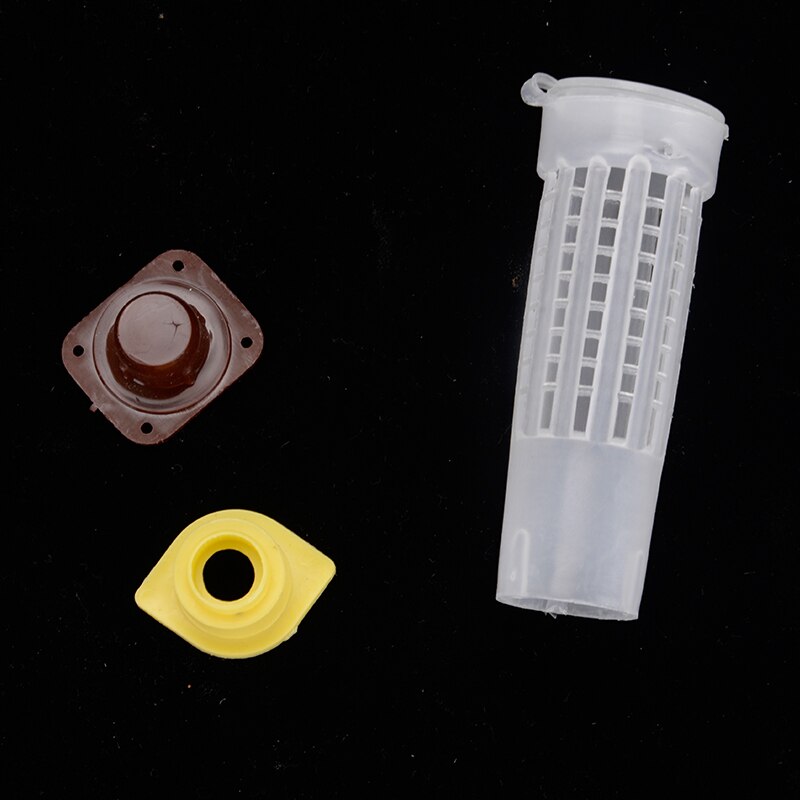 50/70/100/200Pcs Queen Bee Protective Cover Prisoner Queen Cage Beekeeper Tool Garden Beekeeper Queen Bee Catcher