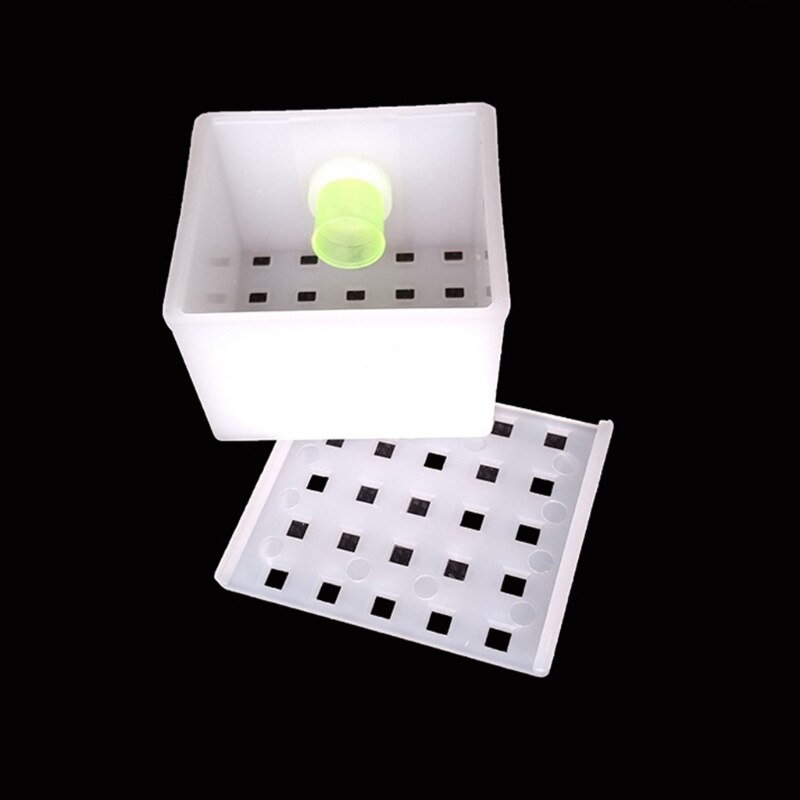Multifunctional Plastic Queen Bee Storage Device B... – Vicedeal