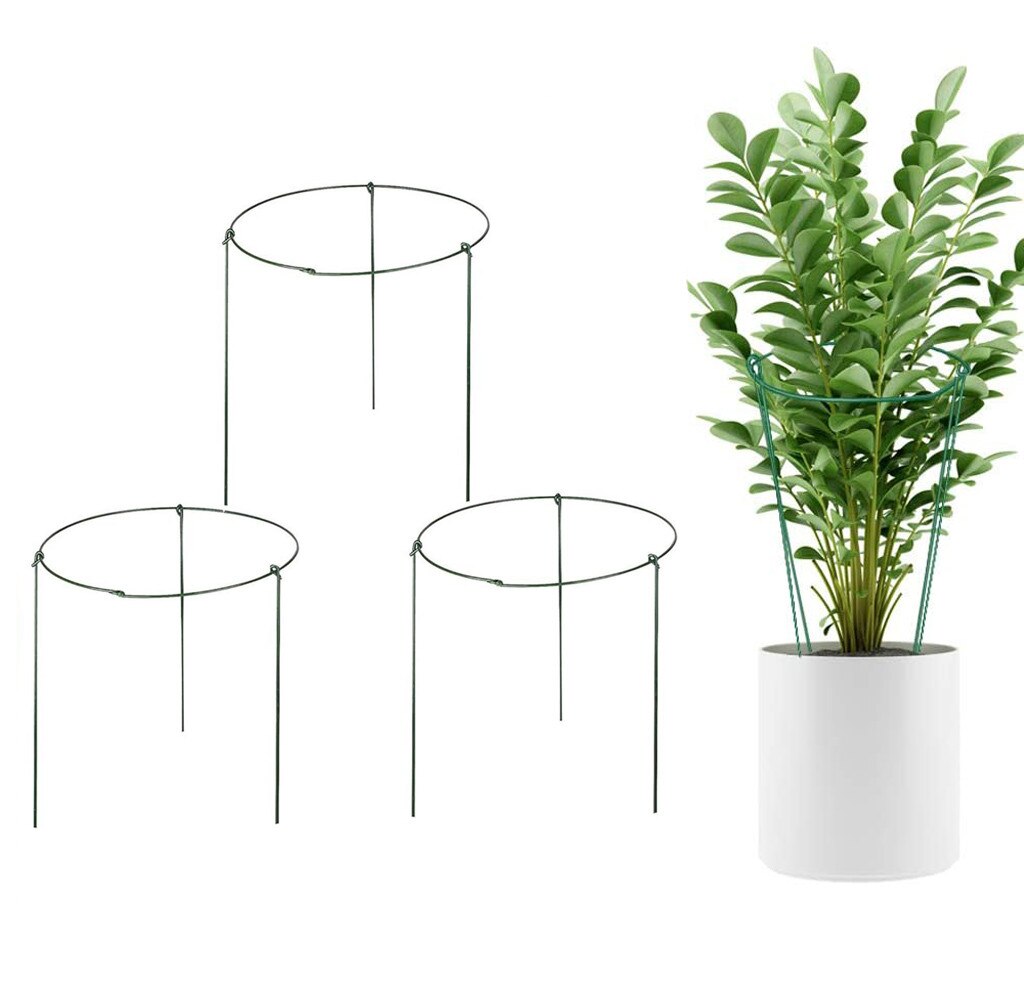 Rose Flowers Vine Garden Supply Garden Support Stake Garden Plant Supports Ring Border Support Plant Support Ring Cage N50