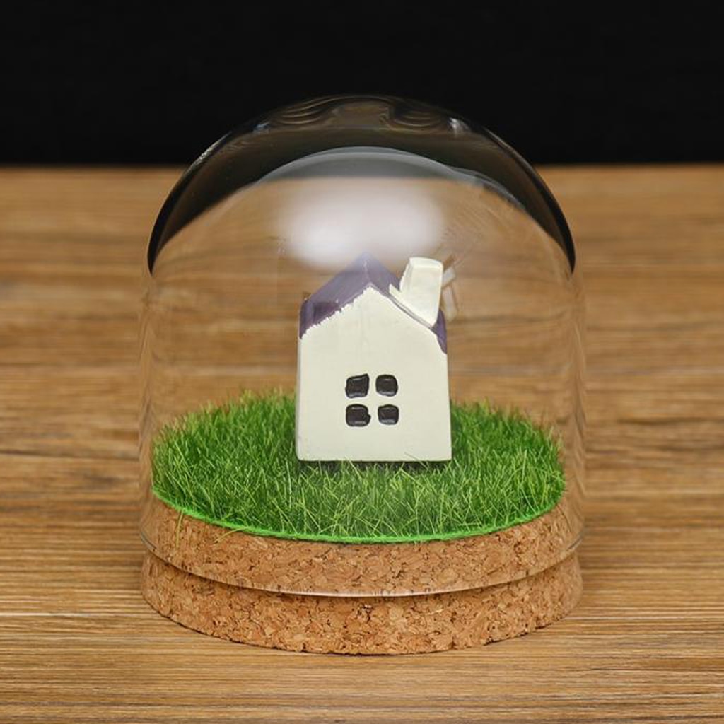 Vitrina de vidrio transparente, tapa de cúpula, campana, jarro, terrarios suculentos con corcho de madera para decoración de mesa de hogar y oficina DIY