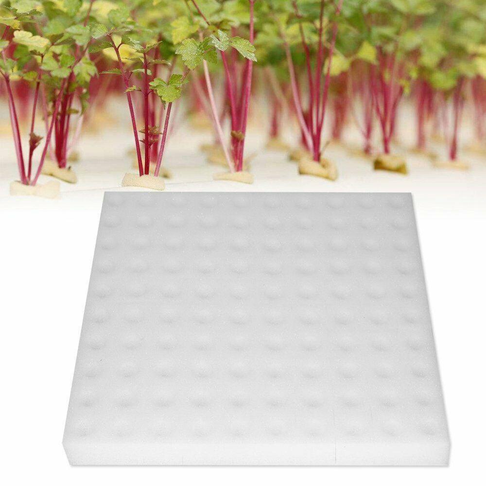 Esponja hidropónica para plantar, herramienta de jardinería, esponjas de plántulas para invernadero, sistema vegetal sin suelo, 1 pieza