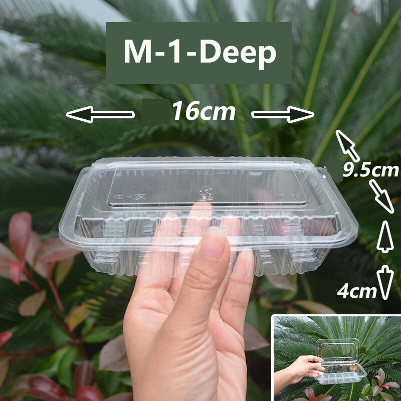100Pack Disposable Clear Plastic Containers Transparent Box for Dessert Fruit Cake Salad Sandwiches Take Out Box: M-1-Deep