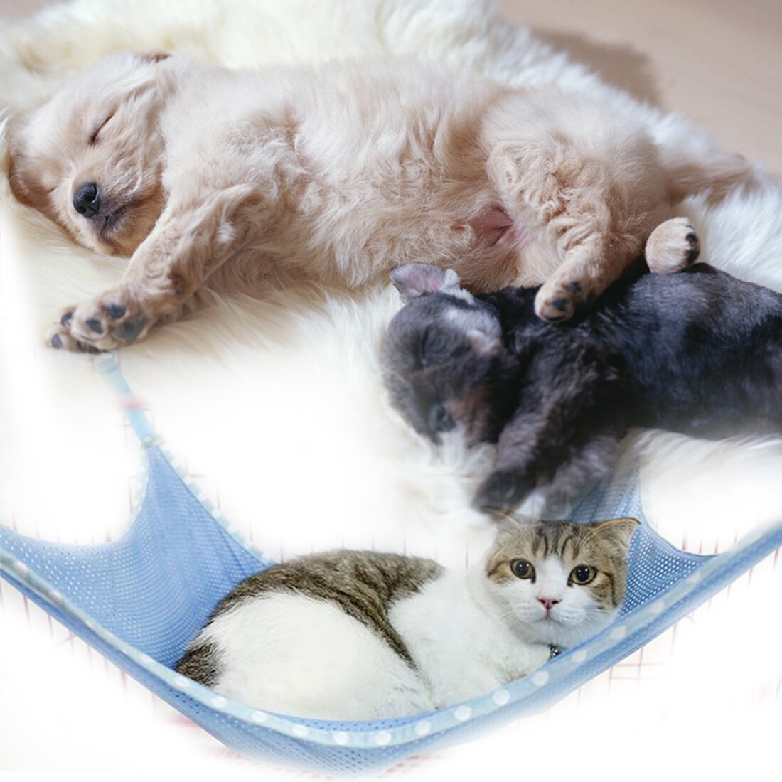 Cat Hammock Cat Climbing Frame Puppy Swing Flannel Mesh Cradle Pet Supplies