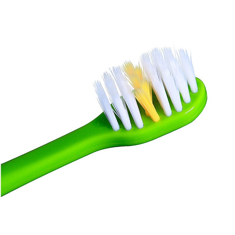 Dr.Ray Toothbrush Fashionable Dynamic Brush Handle Small Head Intermediate Cross Connect Brush Bristle 0.01mm ECO Toothbrush