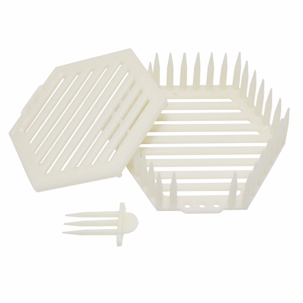 Bee Tools Hexagon Crown Of Thorns Needle Cage Plastic Queen bee Prisoner Cage Beekeeper Apiculture equipement 20 Pcs