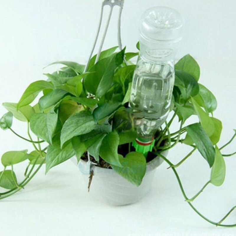 Piqueta de riego automática para jardín, riego por goteo de flores, herramientas de Agricultura y Agua, Uds.