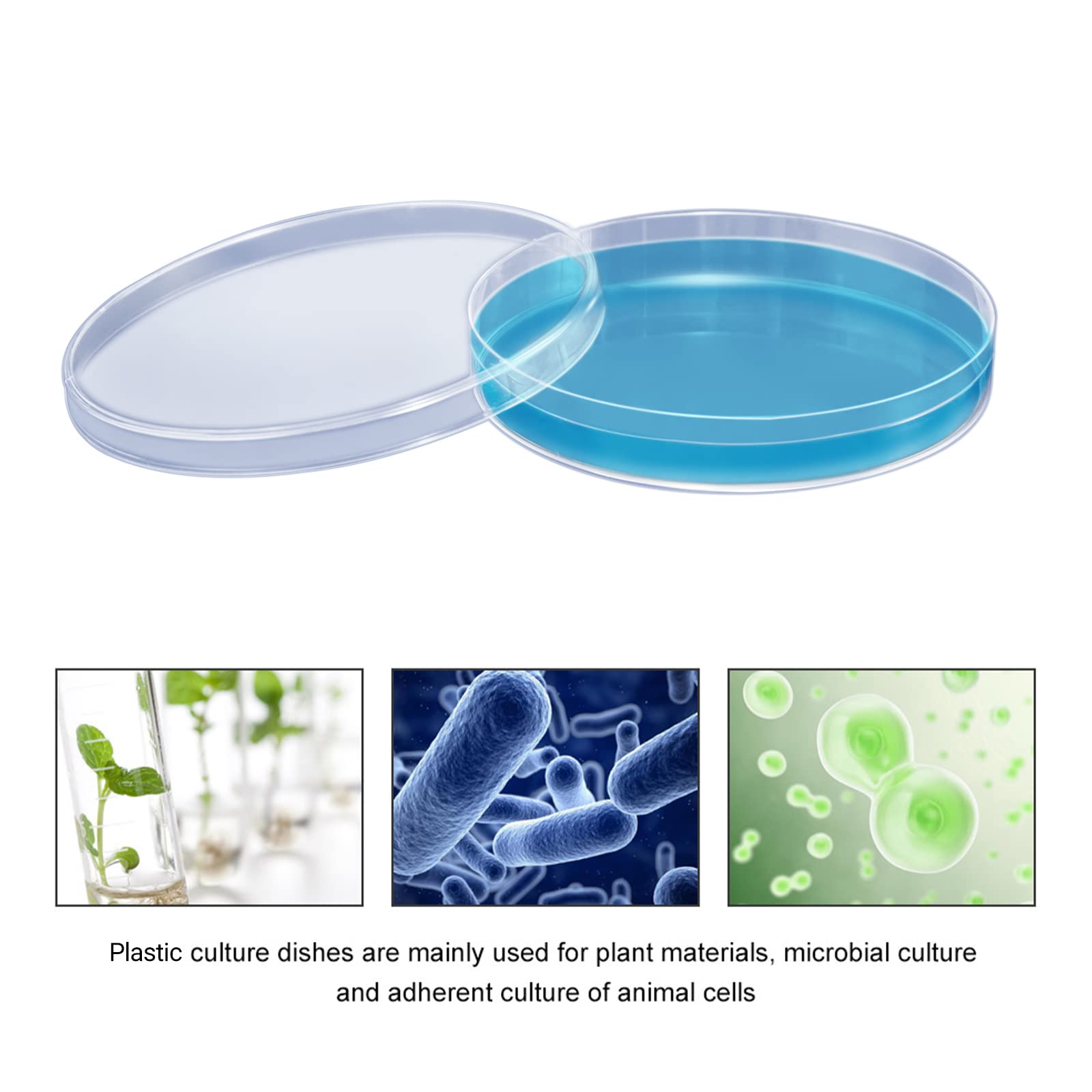 20 Stuks Steriele Plastic Petrischalen Met Deksel 90Mm Dia X 15Mm Diepe Lab Petriplaat Schotel Voor Laboratoriumanalyse School Projecten Bloed